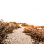 Community Land Trusts: A Path to Homeownership for Priced-Out Buyers